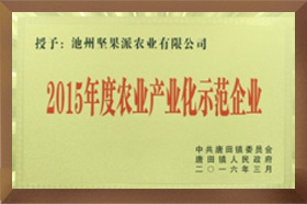 2015年度農業產業化示範一色桃子成人片免费观看
